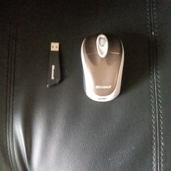 Computer Mouse