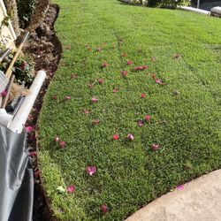 Garden Service 