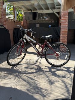 Schwinn bike ladys