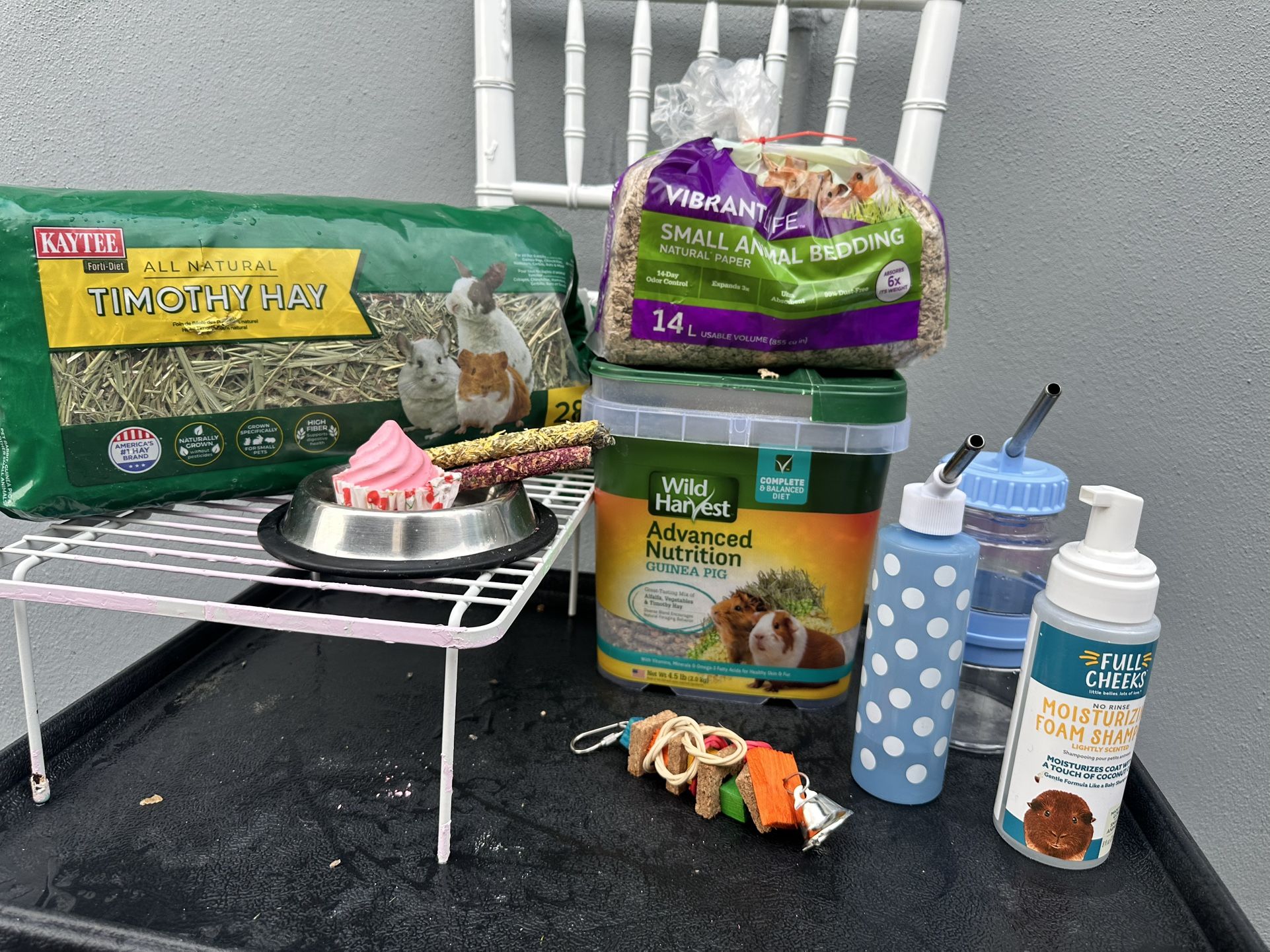 Guinea Pig Supply
