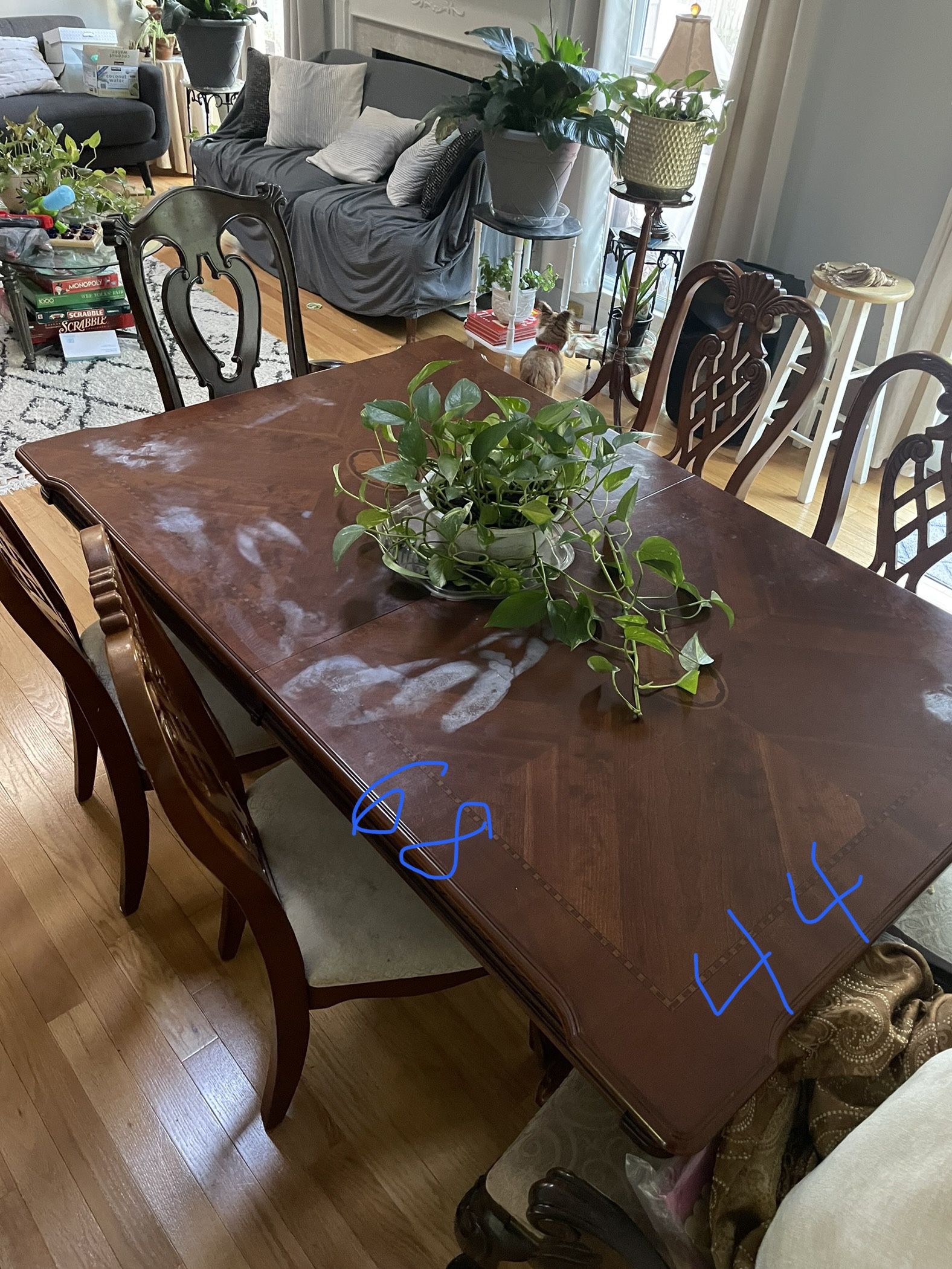 Dining Table And Chairs