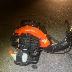 Echo Leaf Blower 