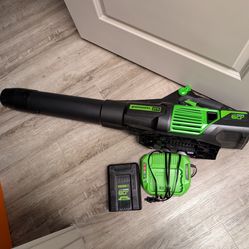 Greenworks Blower: V60