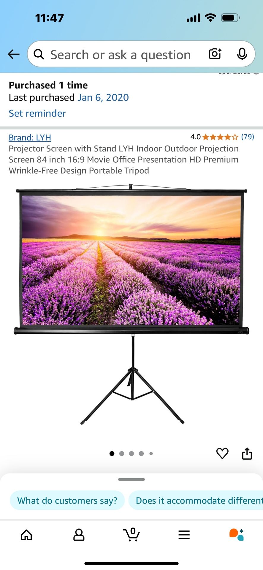 Projector Screen