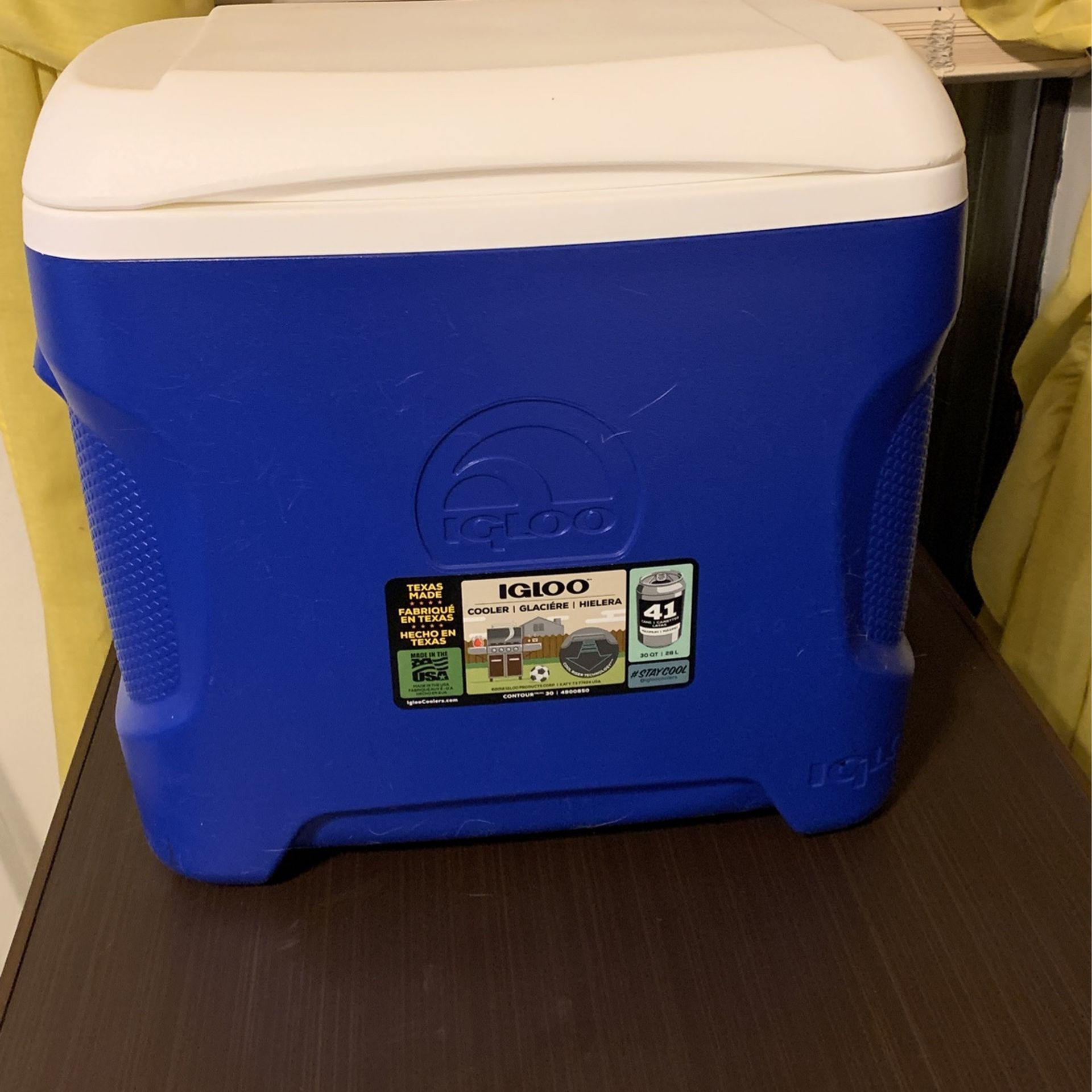 Igloo Cooler