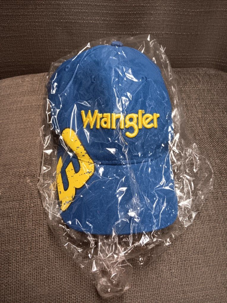 Nascar Dale Earnhardt Jr Cap