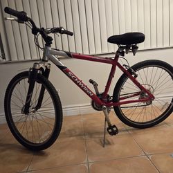 Schwinn Bicycle