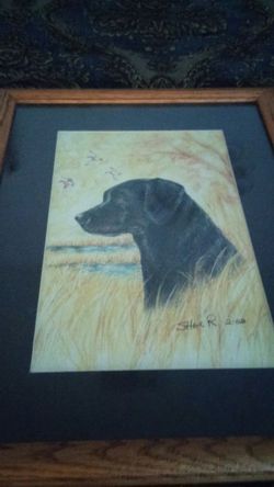 Nice picture of black lab