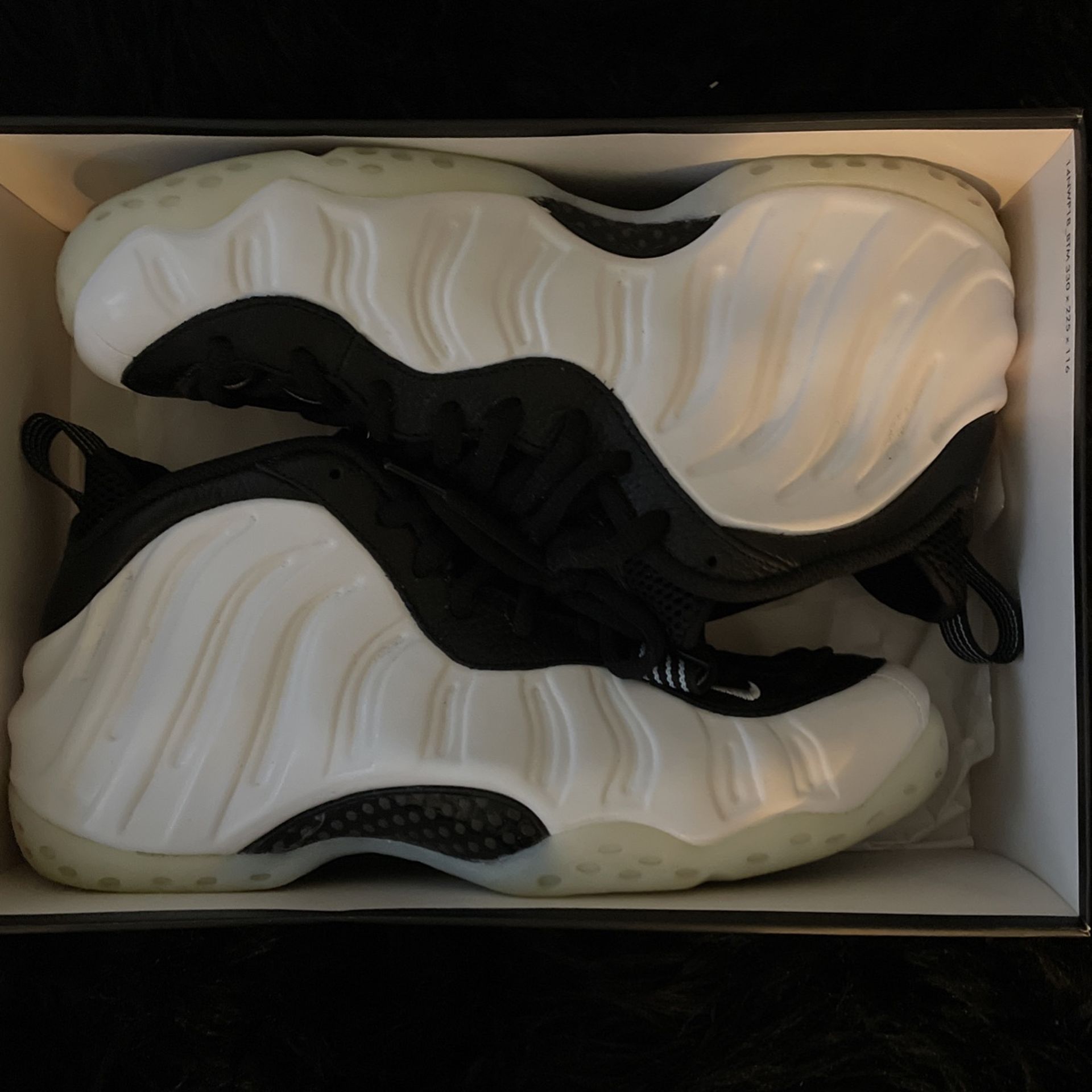 AIR FOAMPOSITE ONE Penny Pe