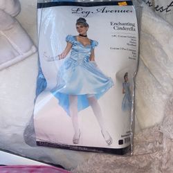 Cinderella Costume