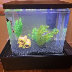 Waterfall Fish Tank 