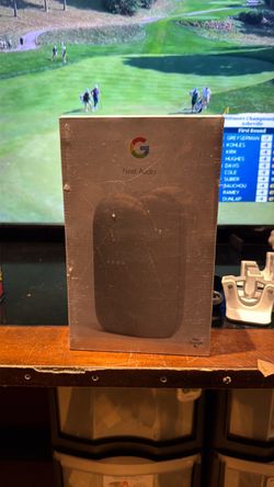 Google nest audio