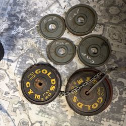 Weight Lot (total 105lbs)