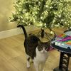 Kit