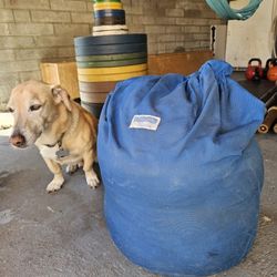 Iron Mind Sand Bag For Strength Training 