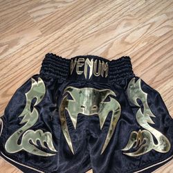 Men Venum Muay Thai Shorts
