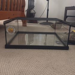 Large Reptile Tank