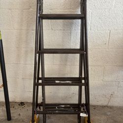 Folding Ladder