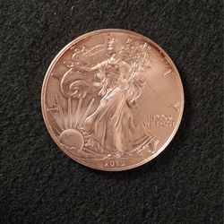 2015 Silver Eagle 