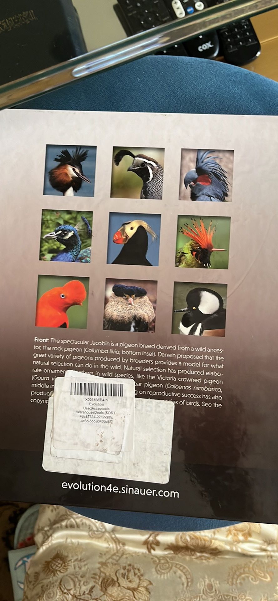 Evolution Fourth Condition Book,All Products : American Fashion Style Bags On Sale