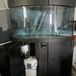 100 Gallon Corner Fish Tank 