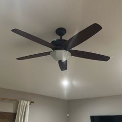 Fan 