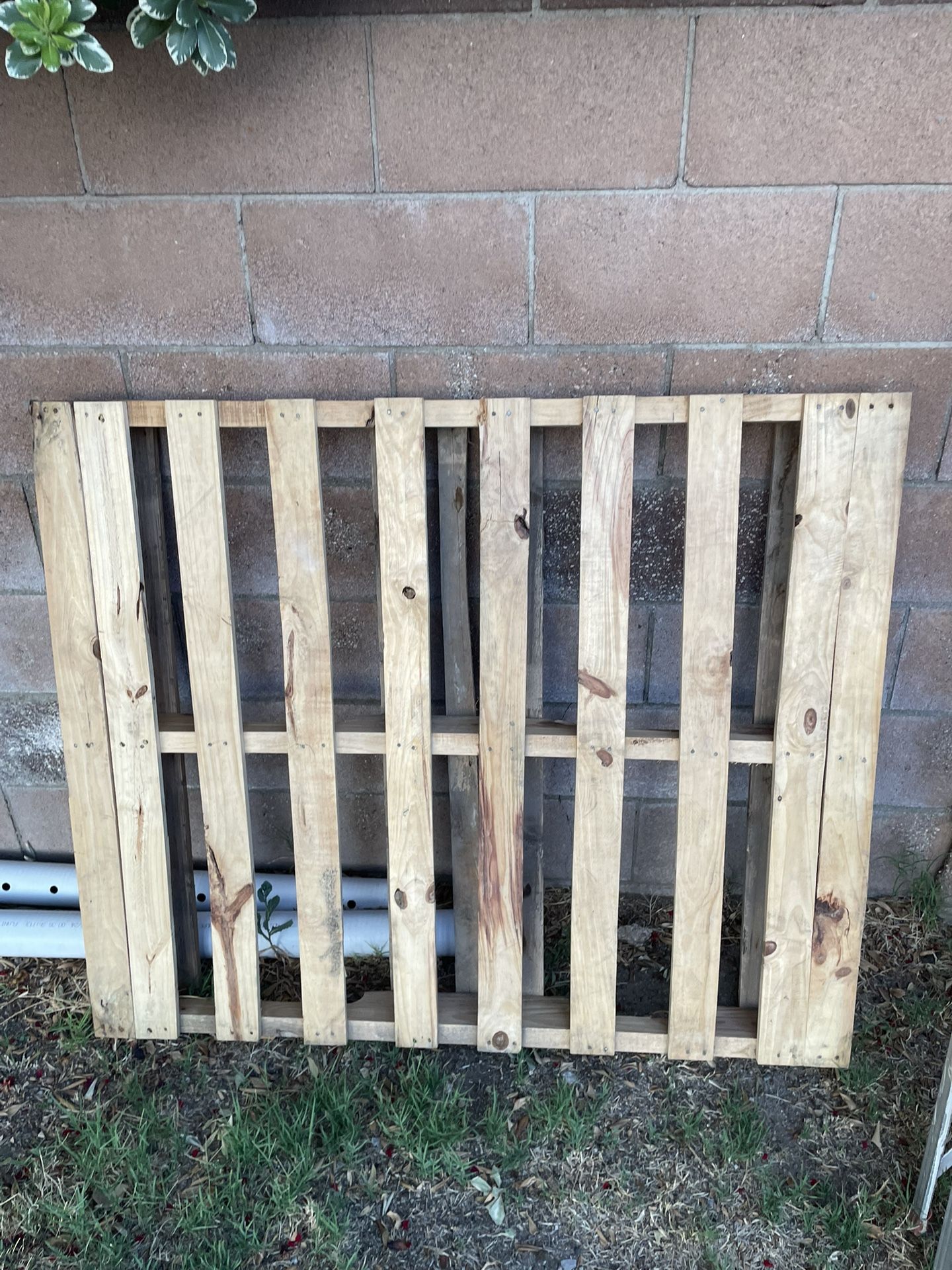 wood pallet
