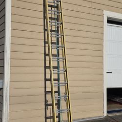 Ladder 24''