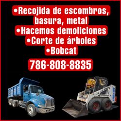 Escombros, Basura, Árboles, Demolición, Bobcat