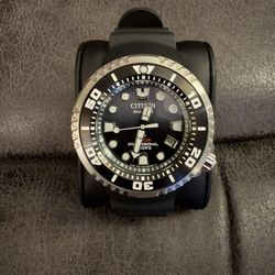 Citizen Promaster 
