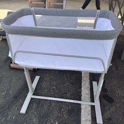 Baby Bassist And Bouncy 