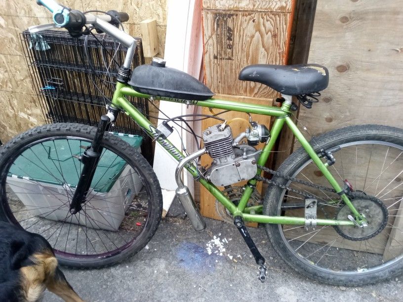 Motorized Bicycle