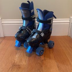 RD Roller Skates: Size 2-4L 