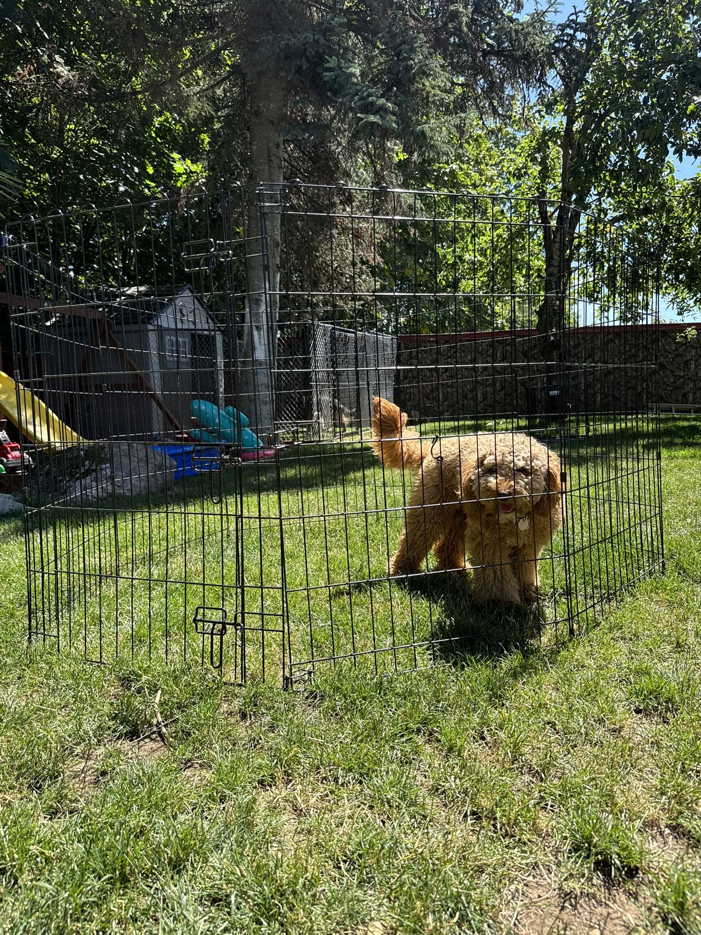 Playpen