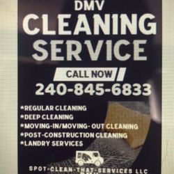 Balenciagas, Nikes, and Jordans blueberry shoes