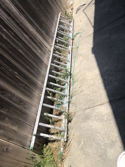 Ladder