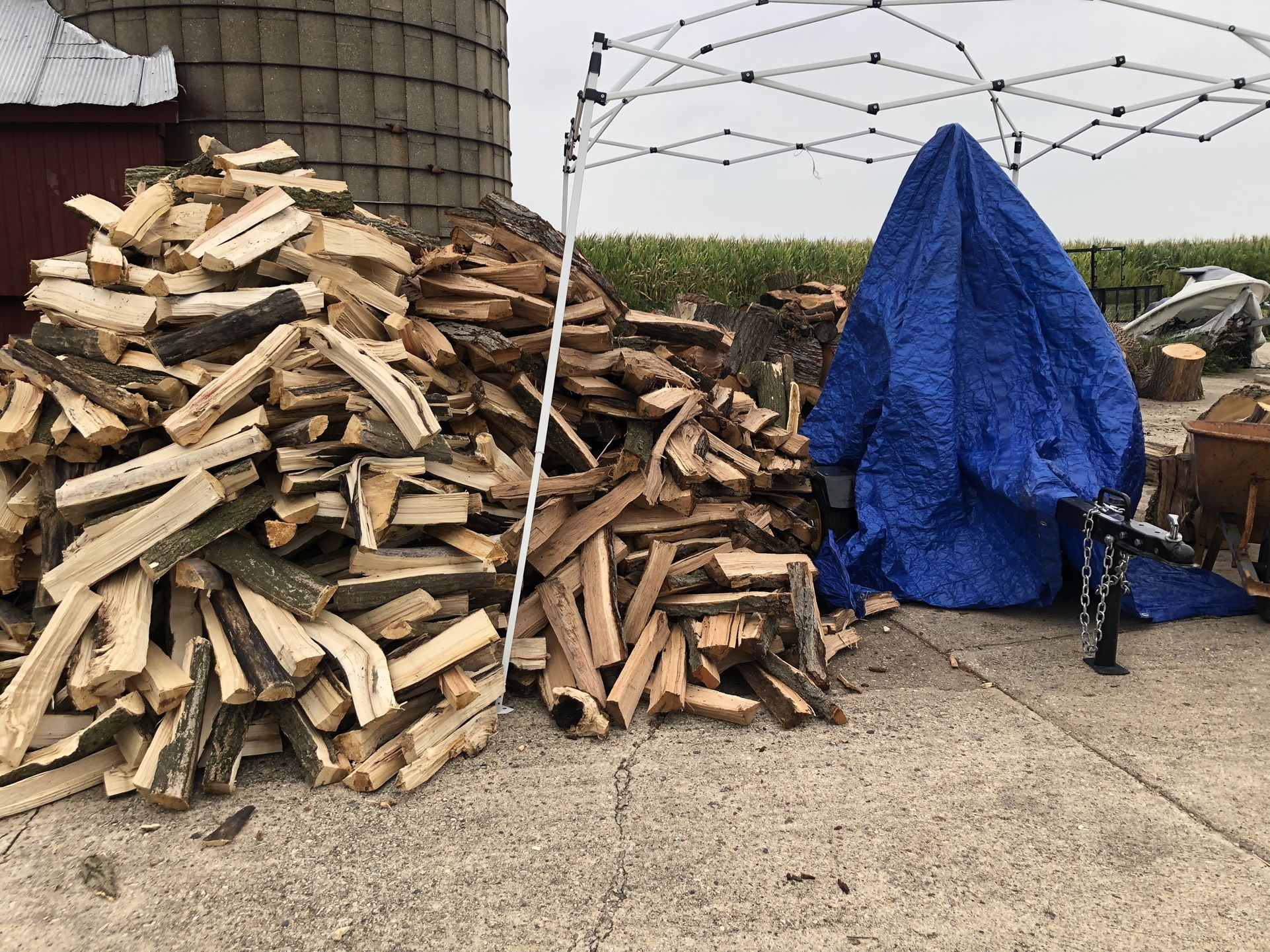 Firewood