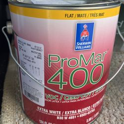 1 Gallon Interior Flat Light Grey