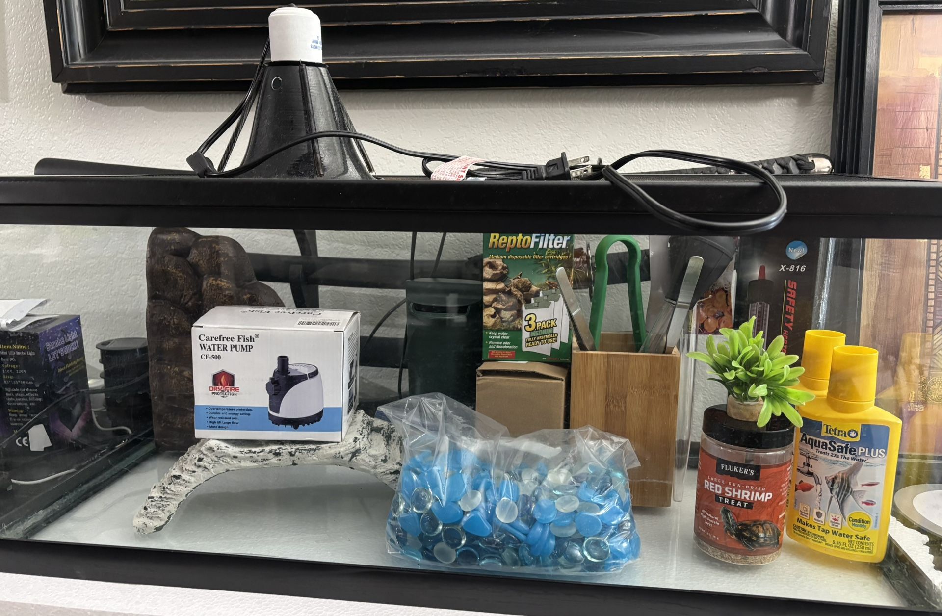 Aquarium Starter Kit-Everything You Need!