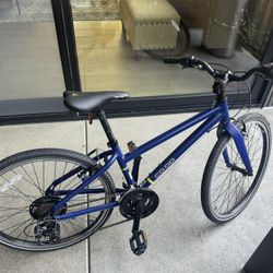 REI Kids 24 Rev bike