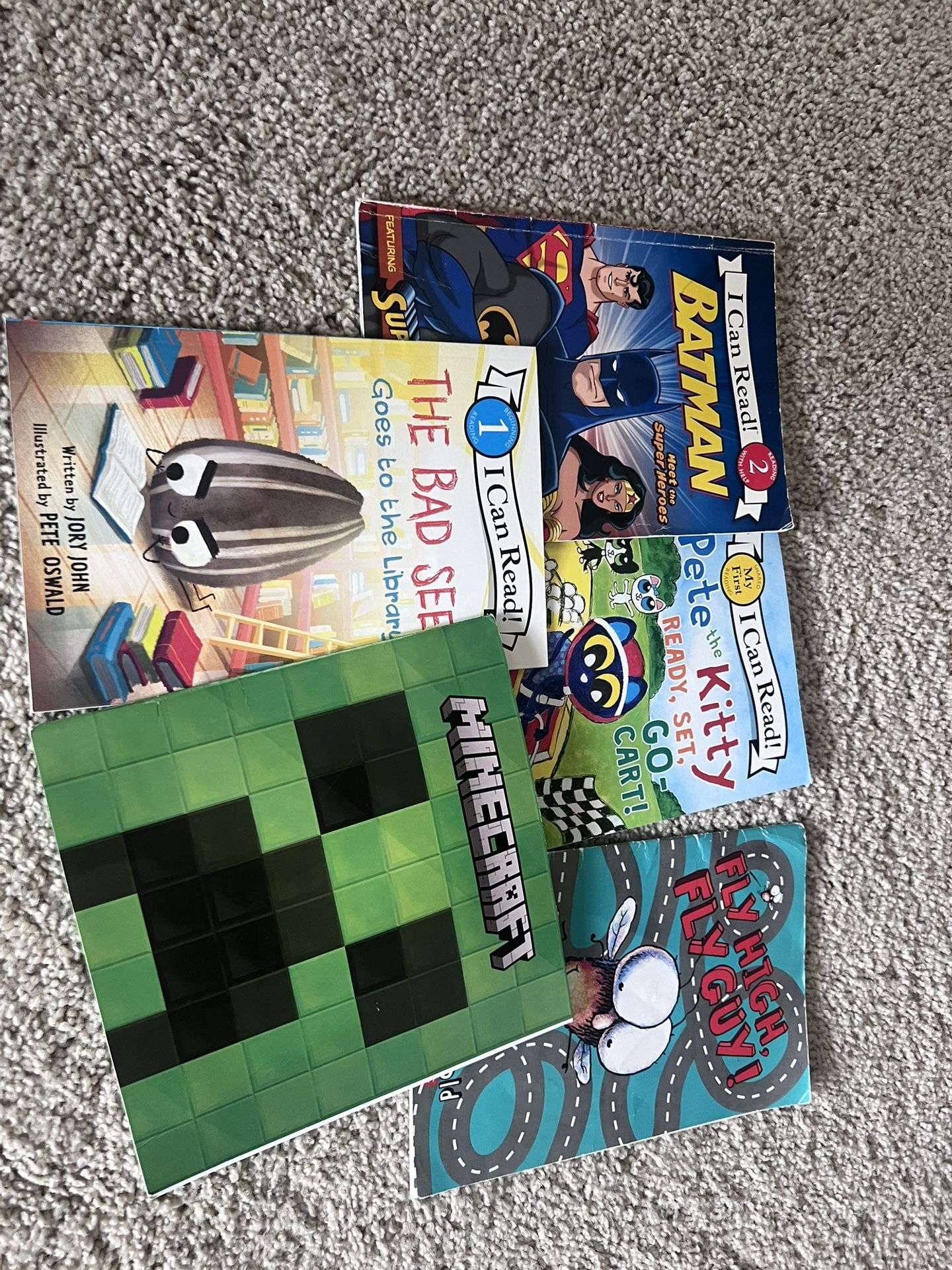 Minecraft and Other Books (5 Books)