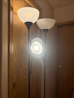 Standing Floor Lamps