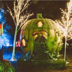 2 Tickets For Pumpkin Nights In Austin TX, Oct 17, $20 Each