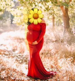 Maternity Dress LARGE $10