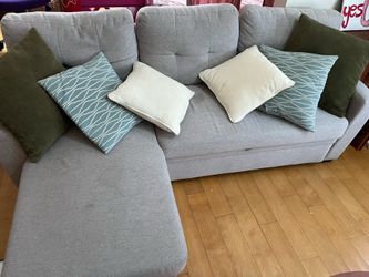 FREE sleeper sofa and chaise