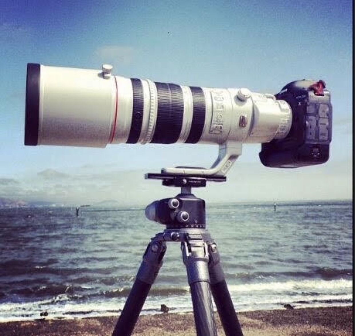 Canon Lens 600mm Telephoto