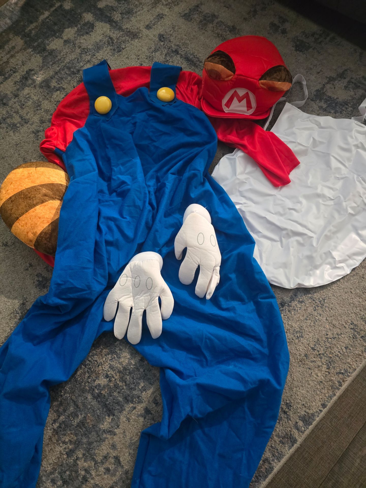 Super Mario Bros Racoon Mario Costume and Bowser Costume