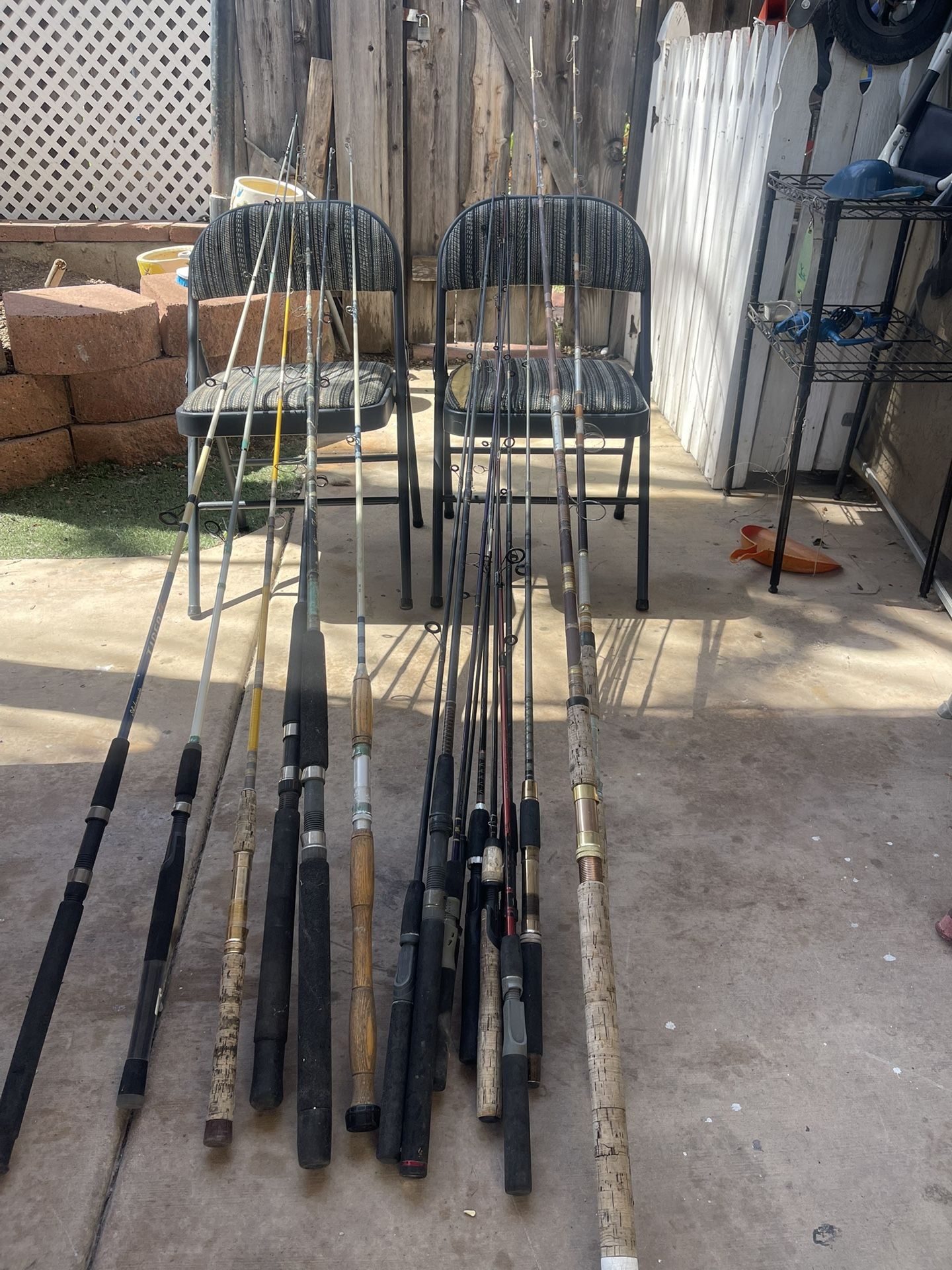Fishing Rods Lot Of Them Asking $10 , $20 Each !!!