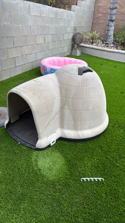 Dog House
