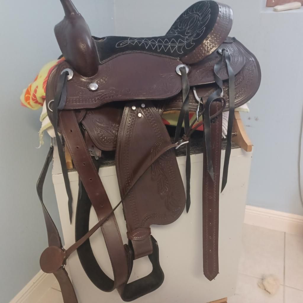 Horse Saddle, Brand New